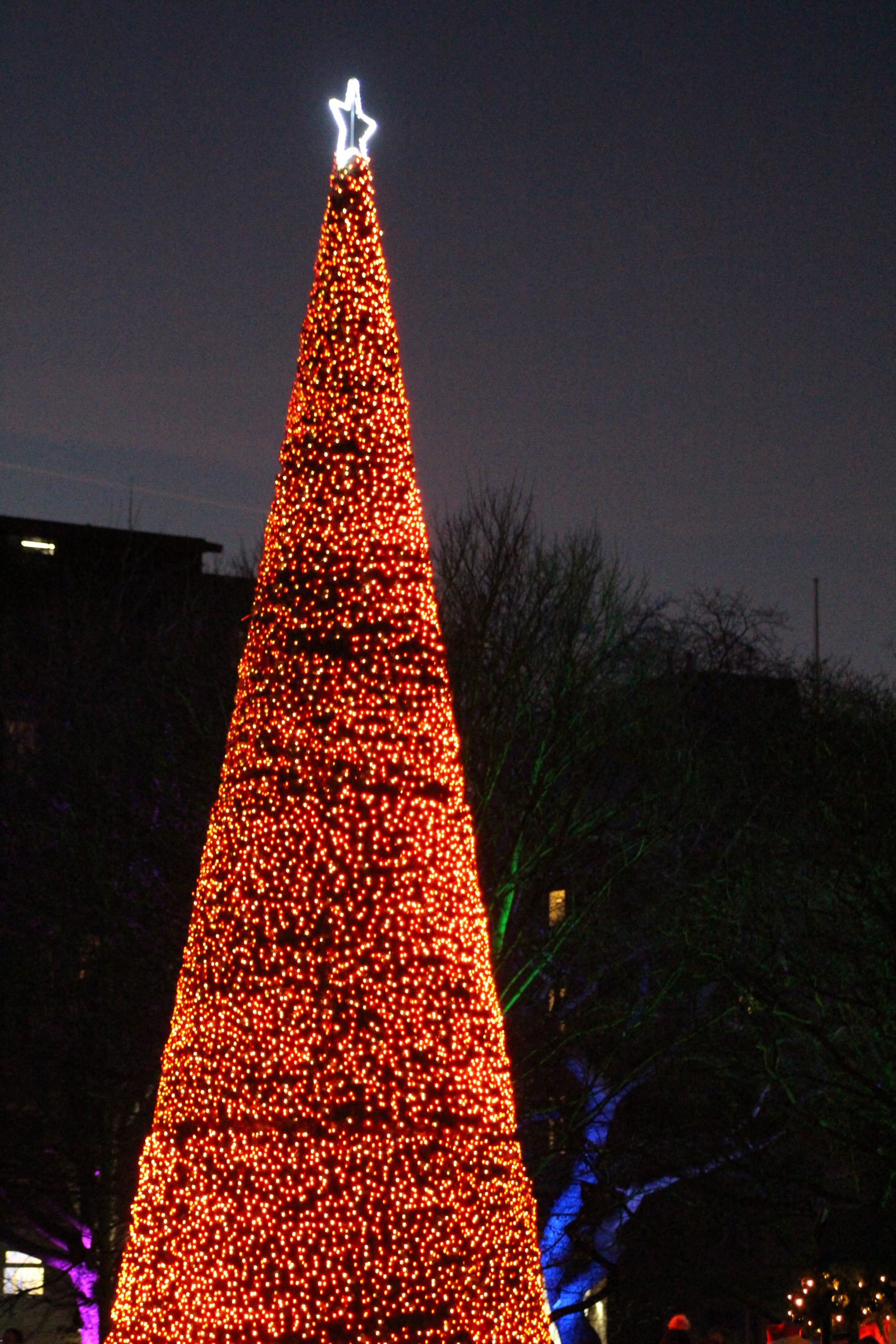 Algarve, Portugal 7 nights HB SV rooms from 7th January 2023 - Image 9